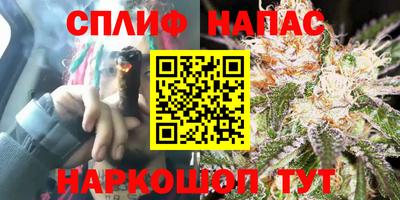 spice Будённовск