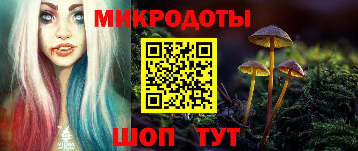 Малоярославец  Галлюциногенные грибы Psilocybine cubensis  Вход с VPN  Псилоцибиновые грибы прущие грибы 