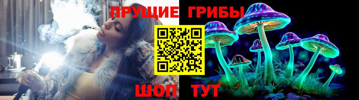 Галлюциногенные грибы Cubensis Малоярославец